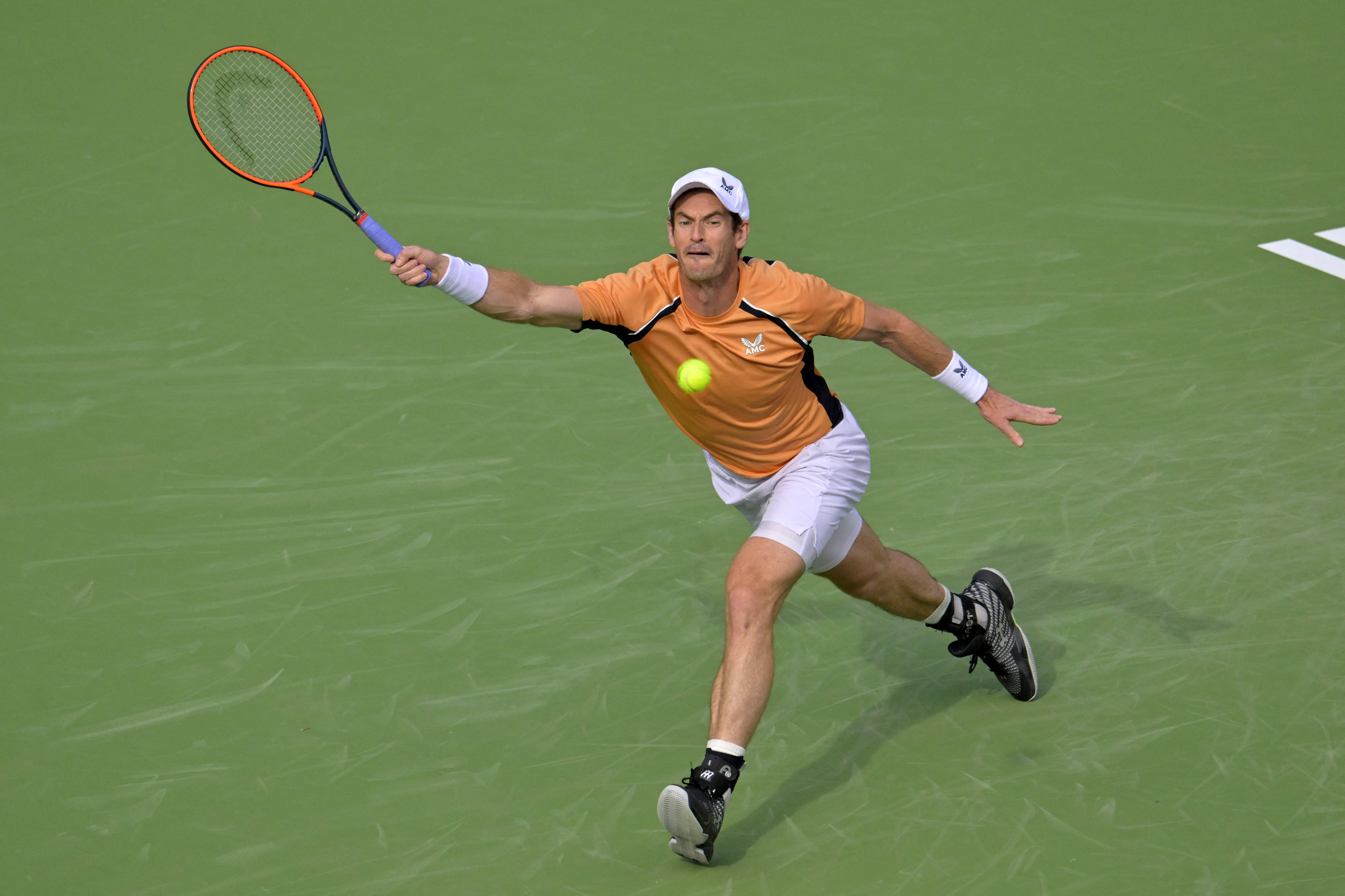 德国网球队横扫世界网球队，穆雷关键制胜的简单介绍