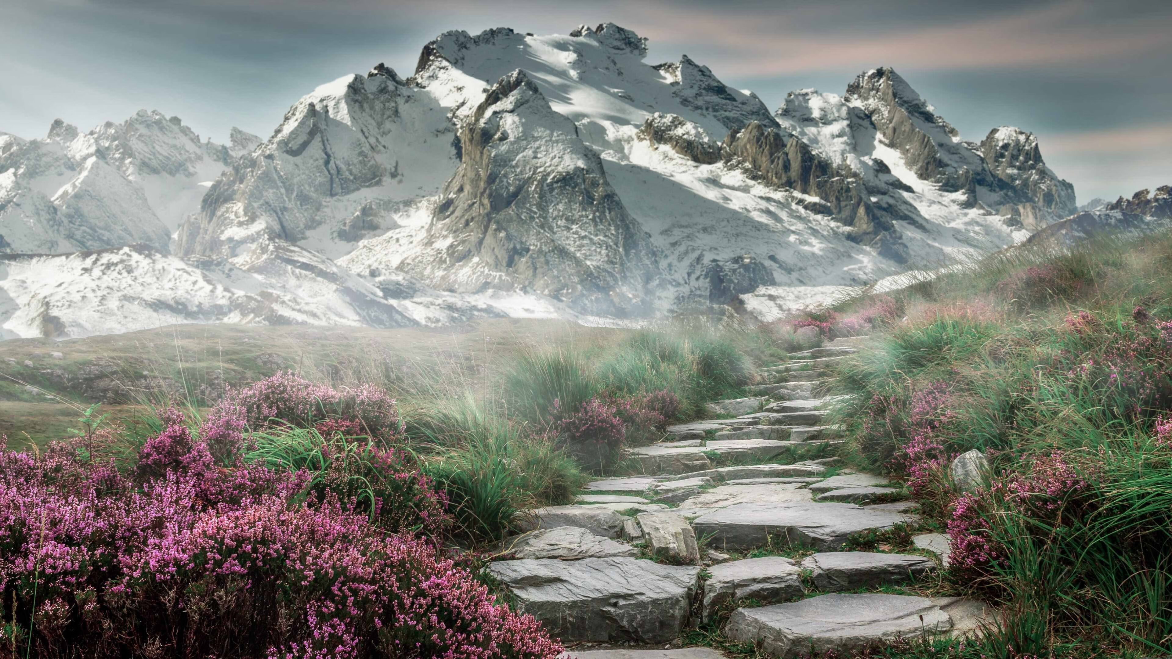 开云体育在线-火箭拆解魔术双关谜题，当自家塔图姆于精神世界扛起全队