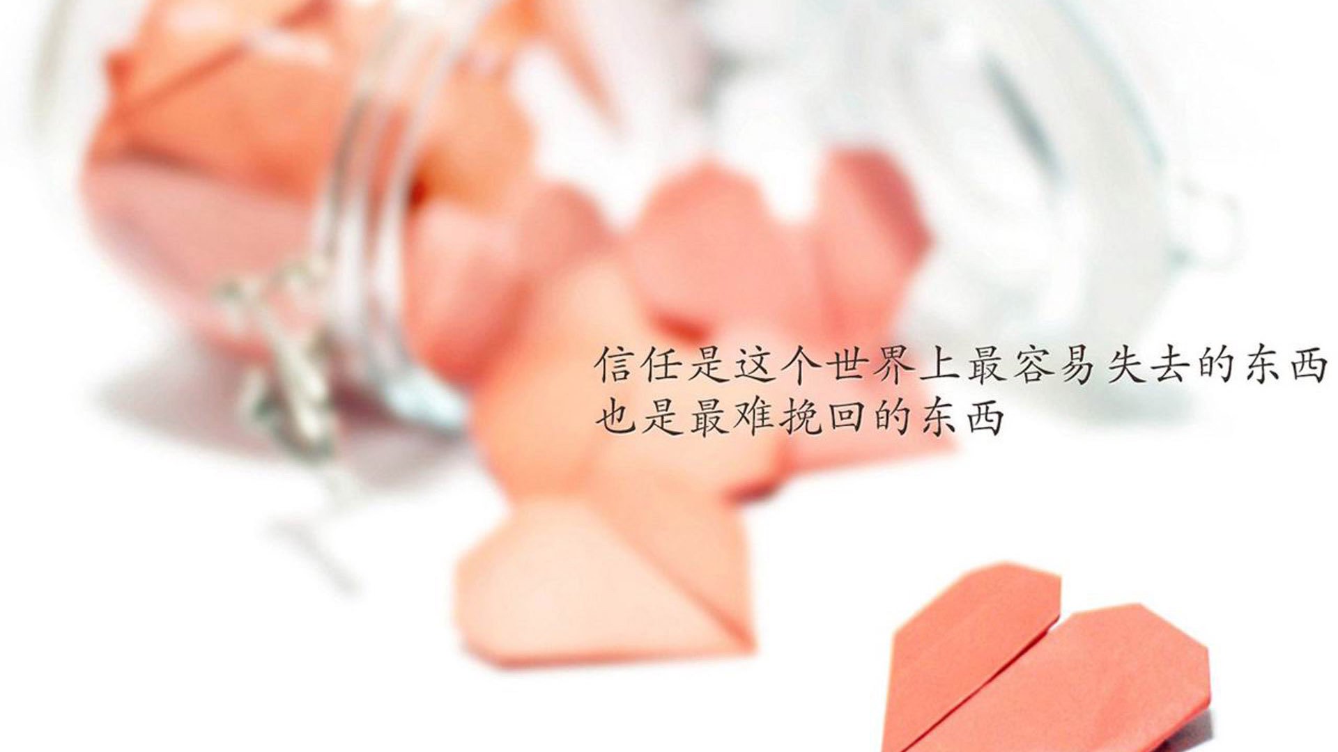 开云sport-东方铁壁，胡金秋如何成为赛场的灵魂图腾？