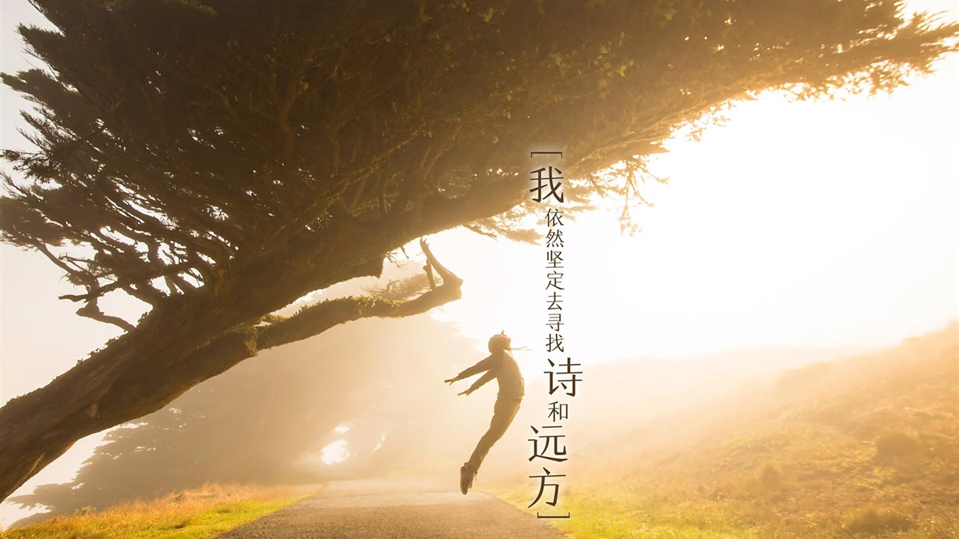 团队战术与个人锋芒的协奏，日本队胜马来西亚，辛杜状态火热背后的羽毛球新叙事