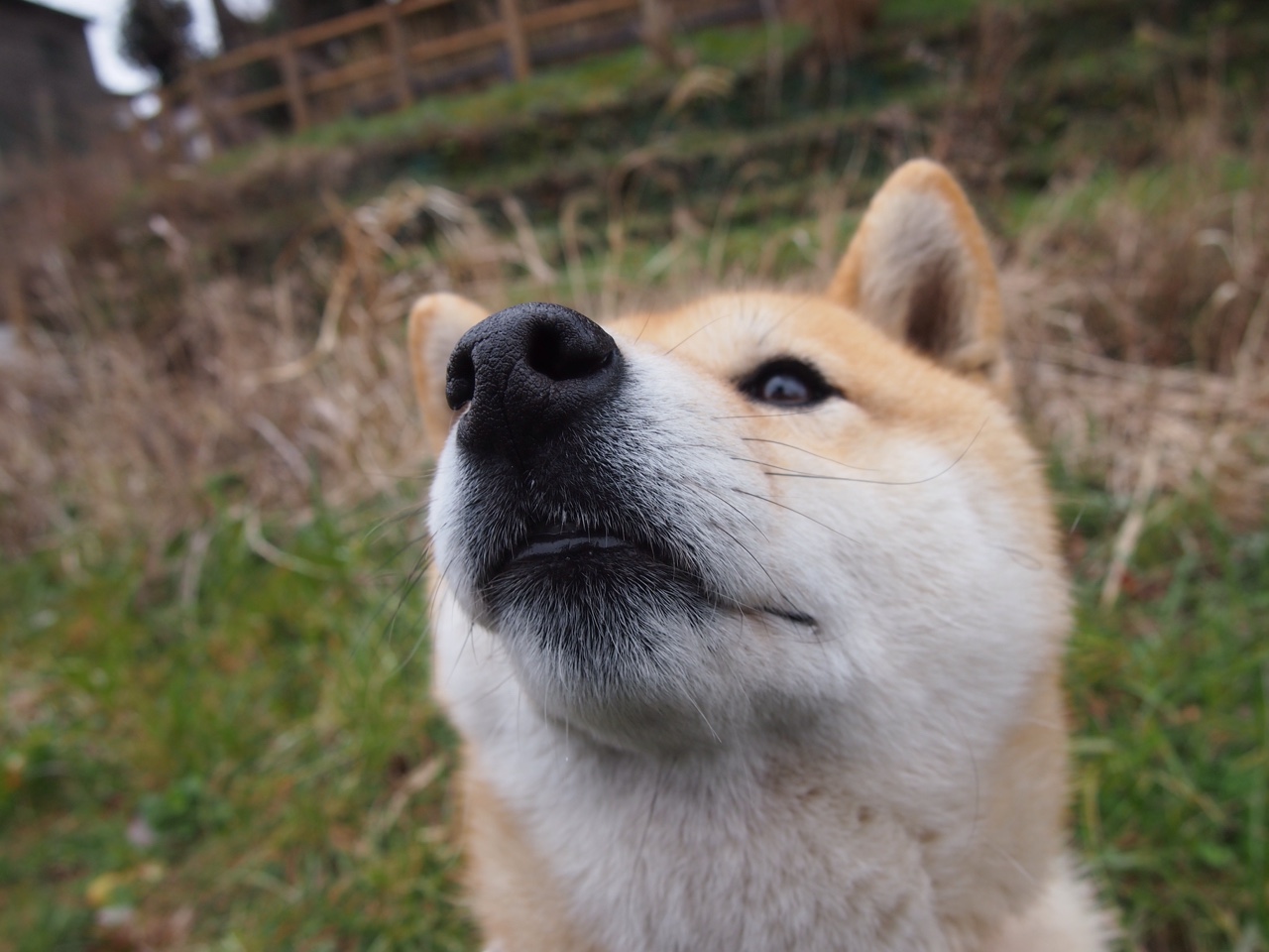 赛场逆袭传奇，阿隆索领军梅赛德斯，绝地翻盘红牛二队取胜