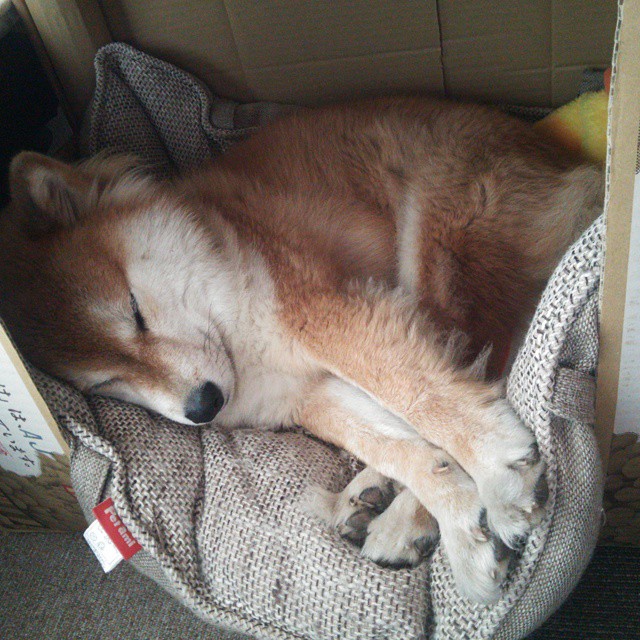 开云体育APP下载-那个叛徒王皓，为何在日韩决战中点燃了东京？