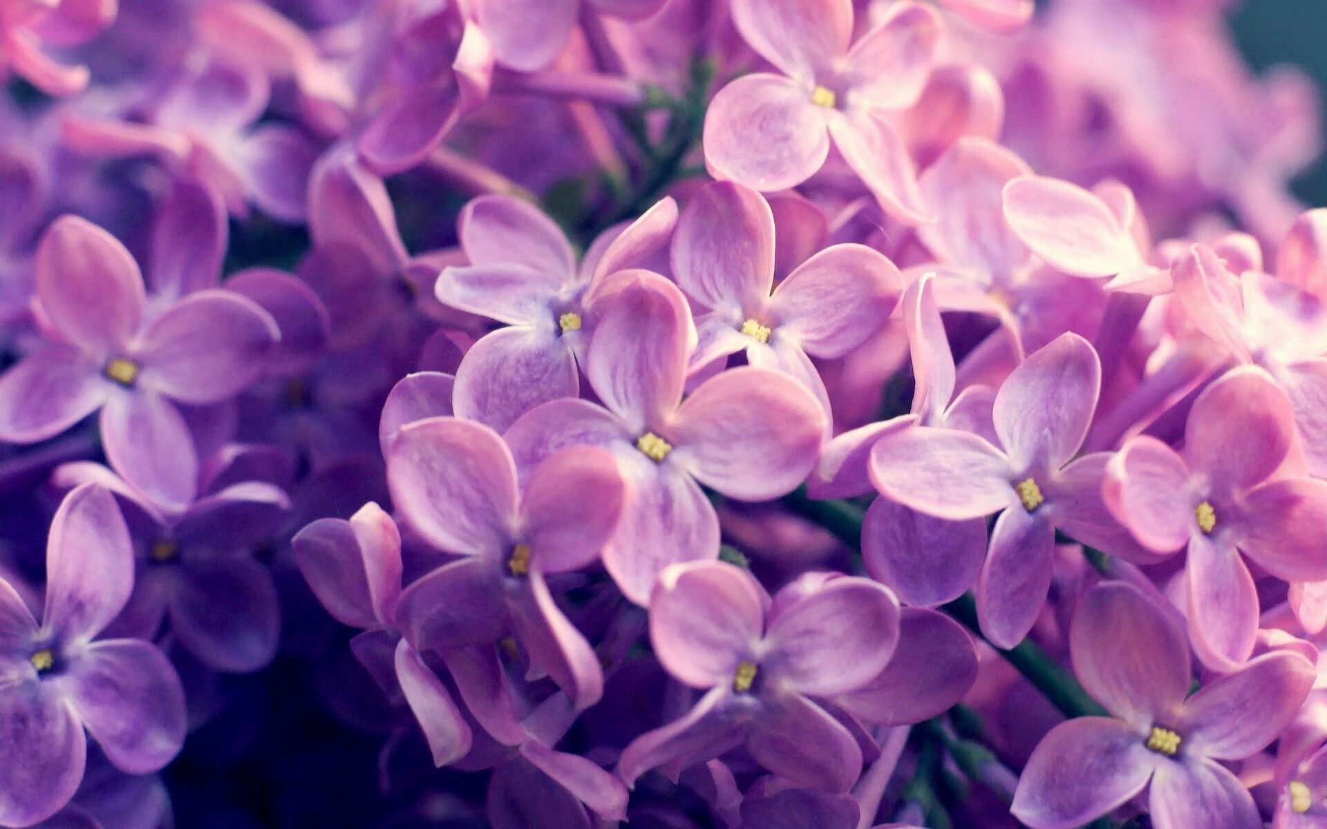 风暴眼中的舞者，班凯罗，攻防易势间的唯一枢纽