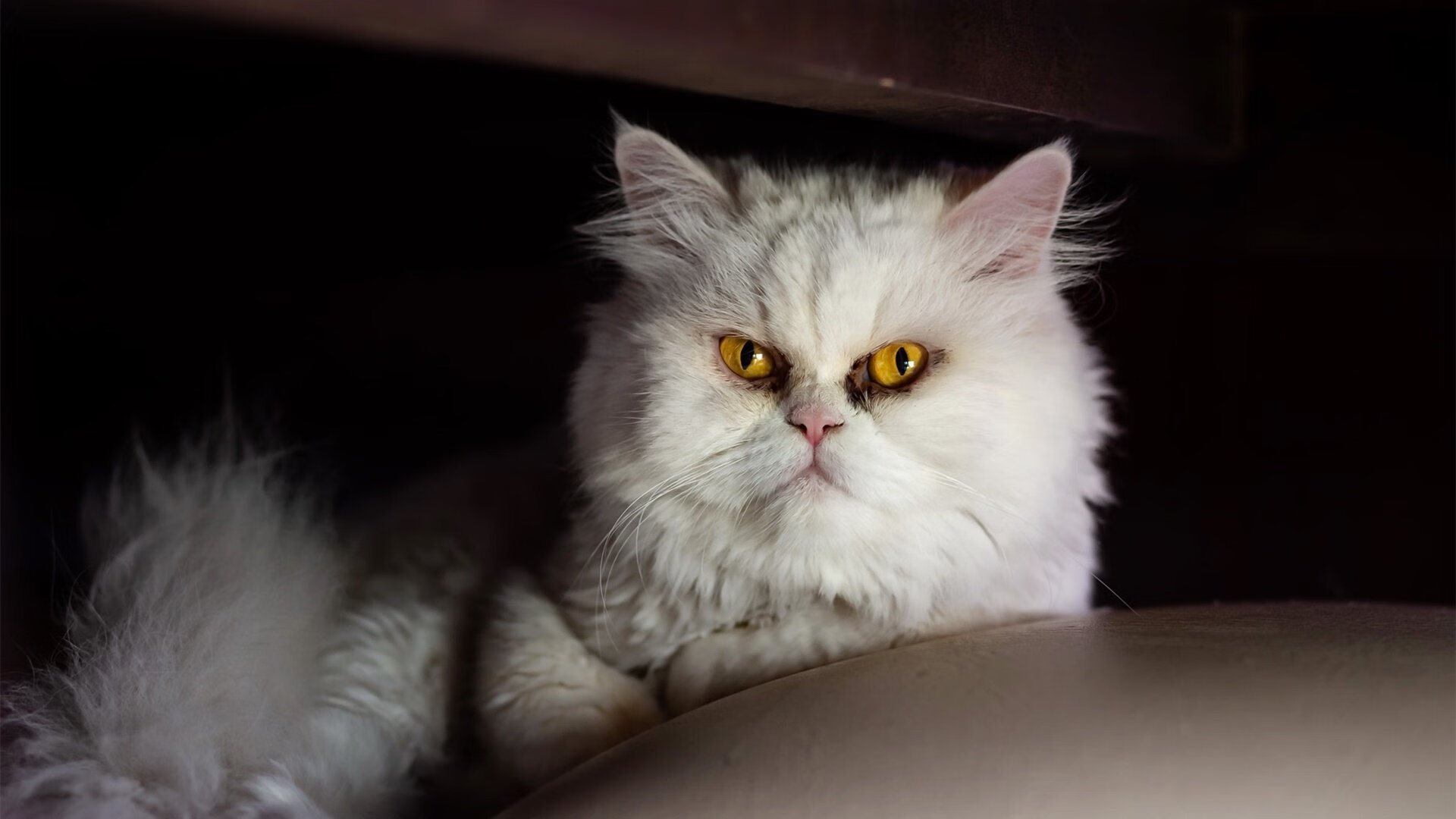 开云sport-大溃败之夜他只手擎天！詹姆斯面前杰伦格林狂轰38分，屠龙宝刀终出鞘