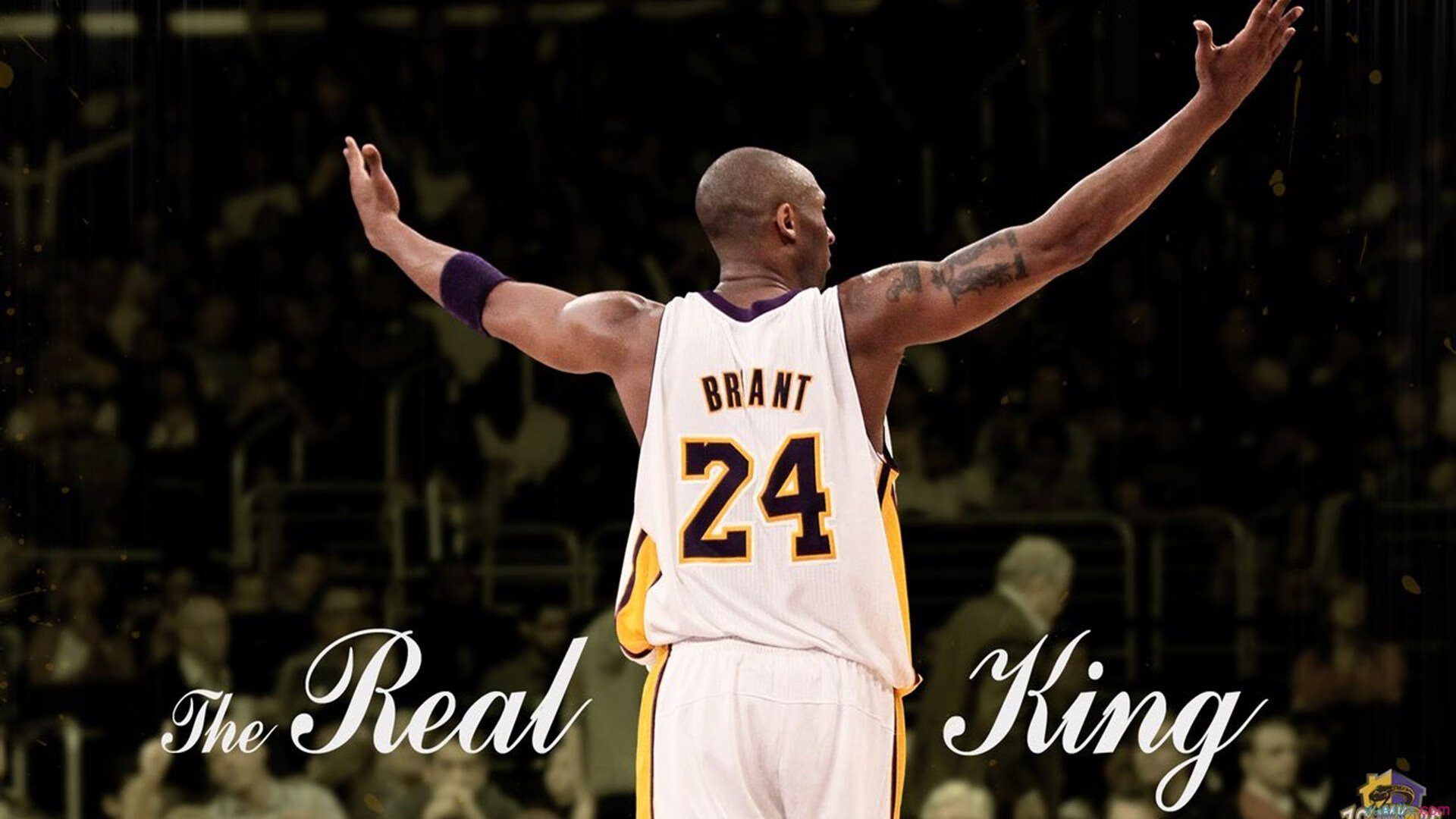 开云sport-银幕上的绿茵之魂，当F1冠军夜，门迪彻底打爆赛车防线