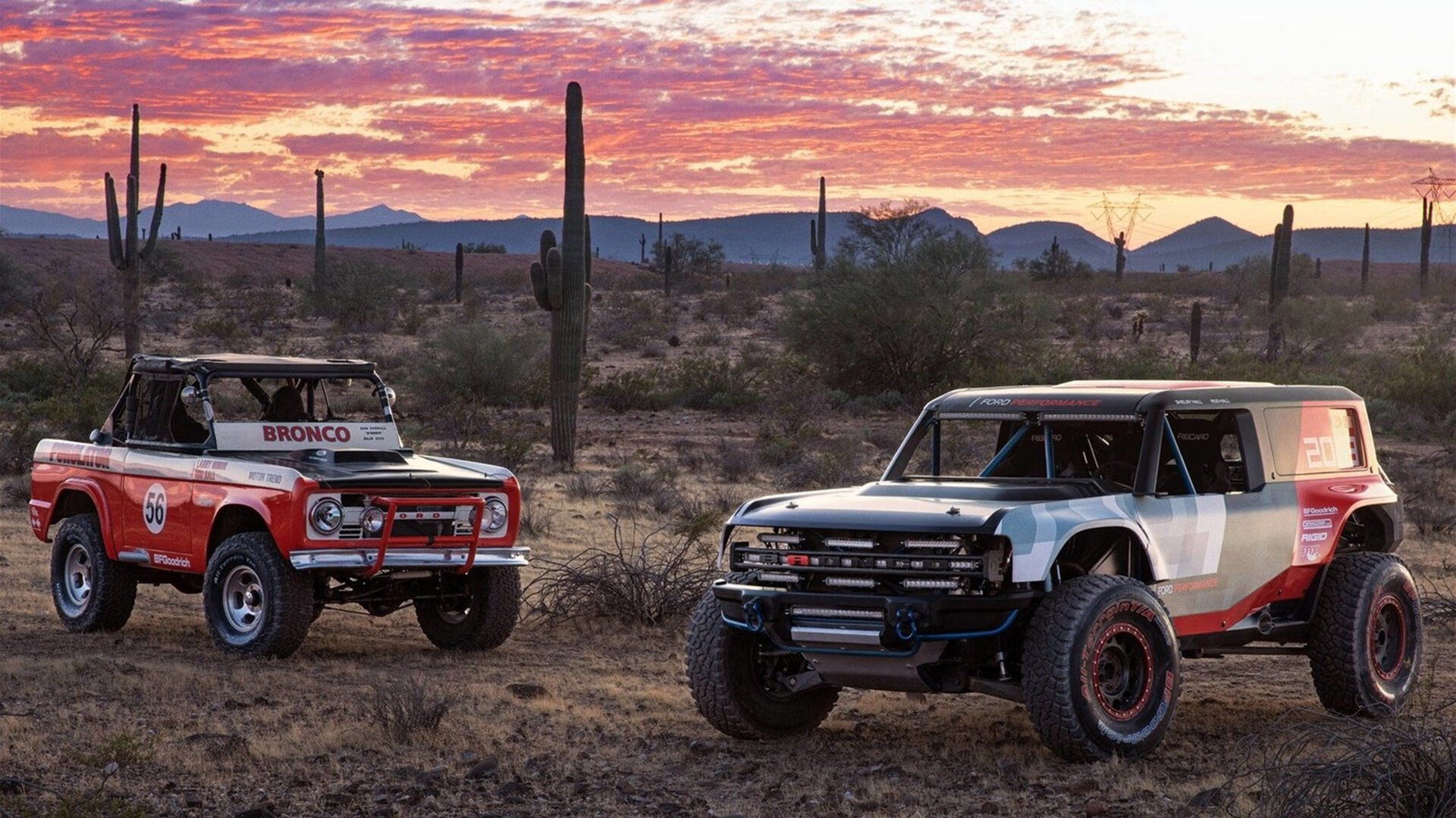怒马封神！寒光铁甲间，奥纳纳一夫当关