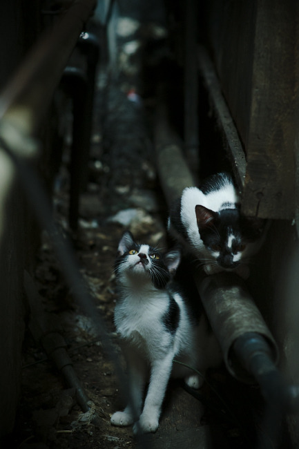 爱德华兹死神镰刀挥落16分豪赌胜利，太阳如何用五分钟吞噬骑士整场优势？