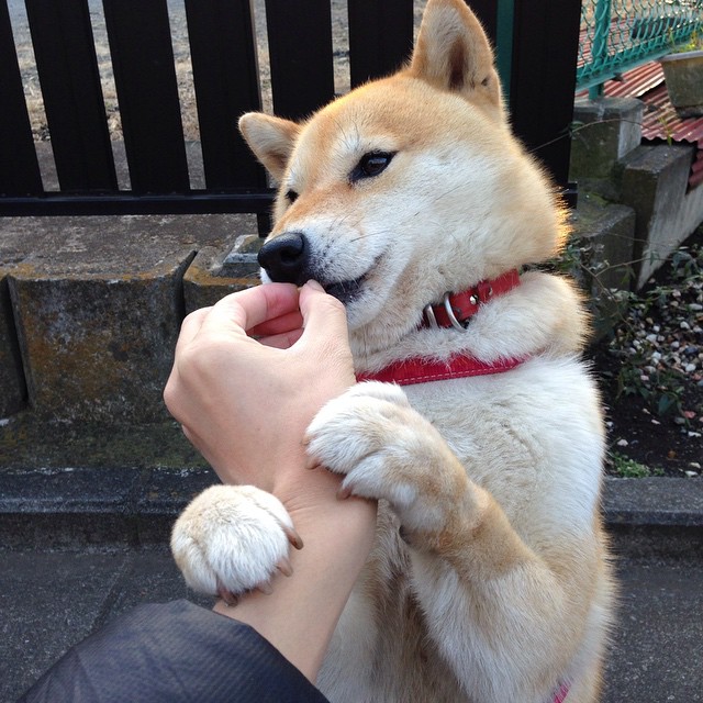 开云体育入口-梦幻对决，阿尔及利亚全明星对阵巴萨，范戴克防守端锁死梅西