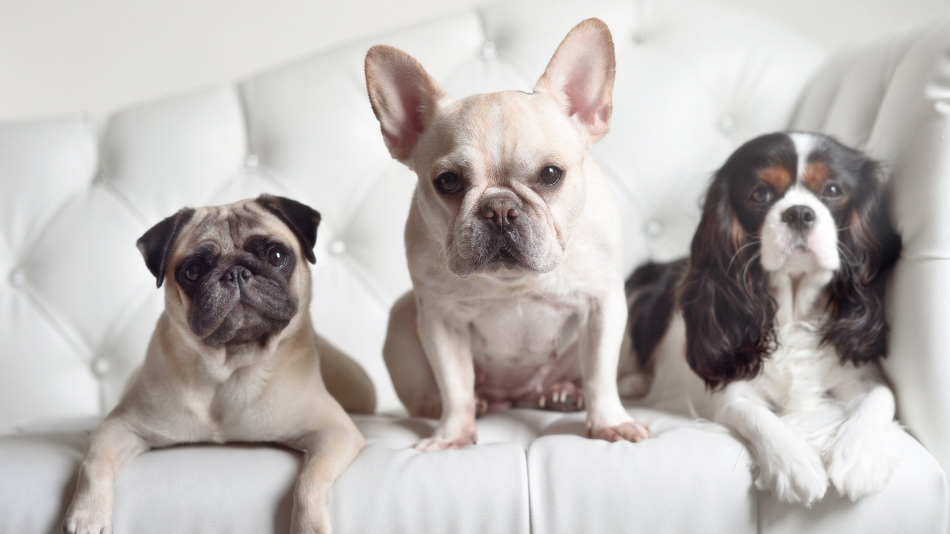 开云体育-季后赛抢七之夜，他是锚，是唯一不波动的坐标