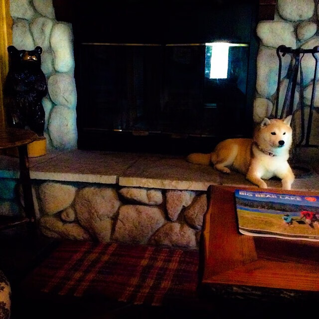 隐去姓名,写就唯一,当马刺的华丽数据,沦为霍勒迪一人的注脚