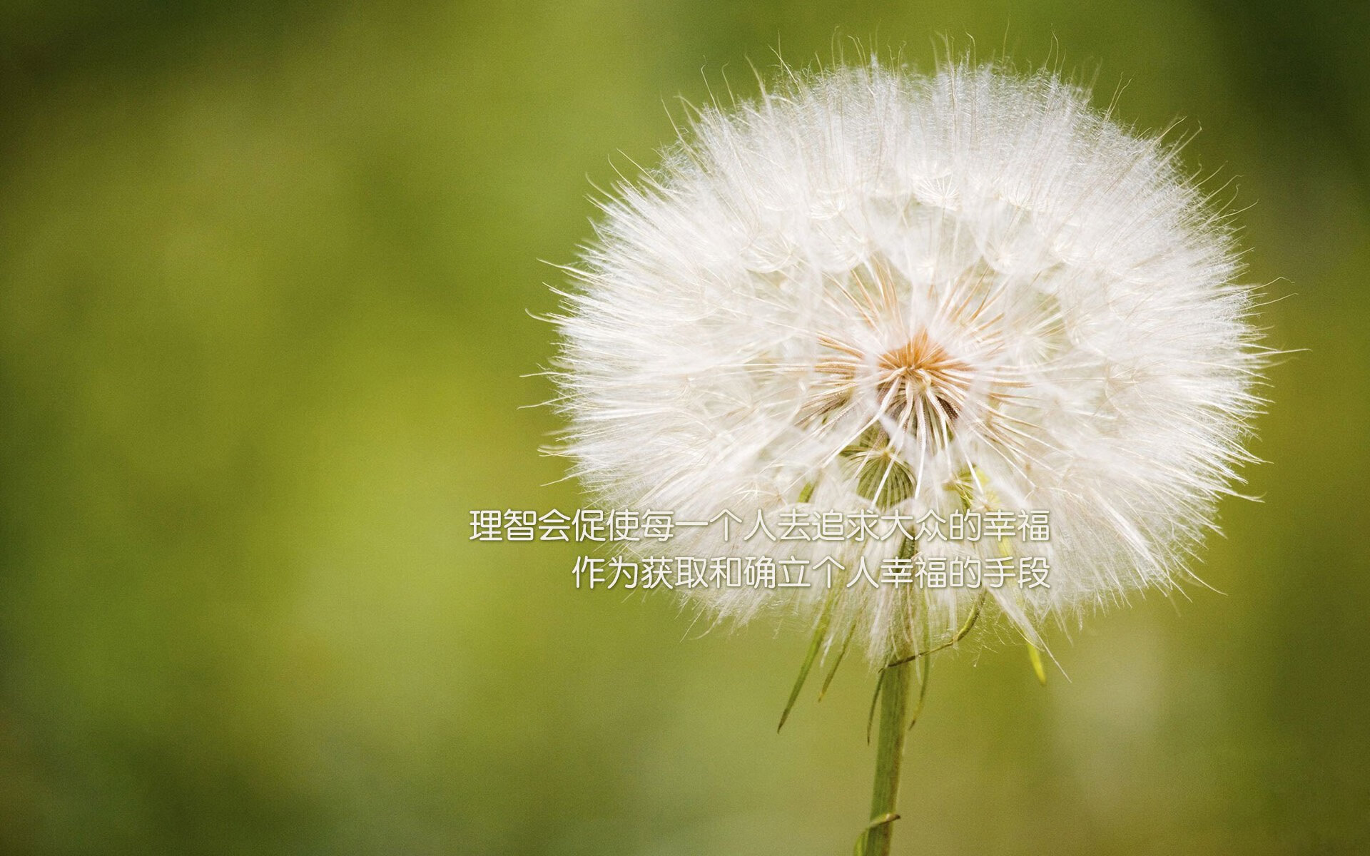 格列兹曼重燃火焰，摩洛哥力量撼动塞维利亚