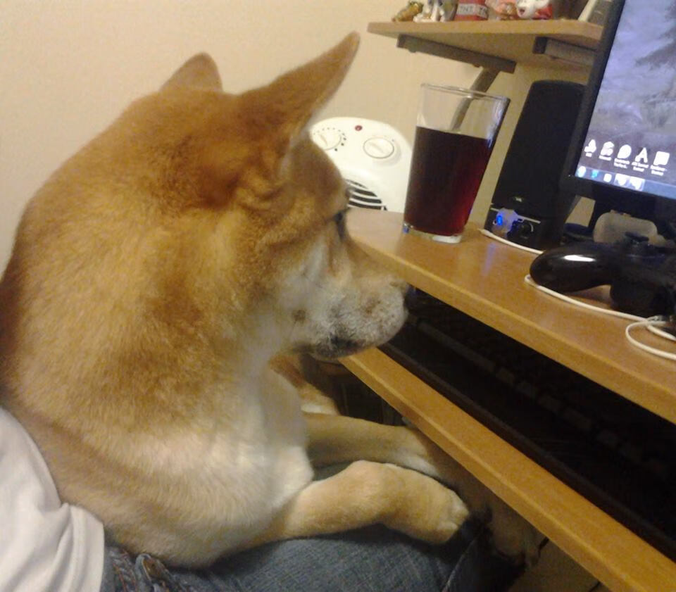 数据会说话,当瑞士爆冷冰岛,特奥的全能秀如何颠覆赛前预测