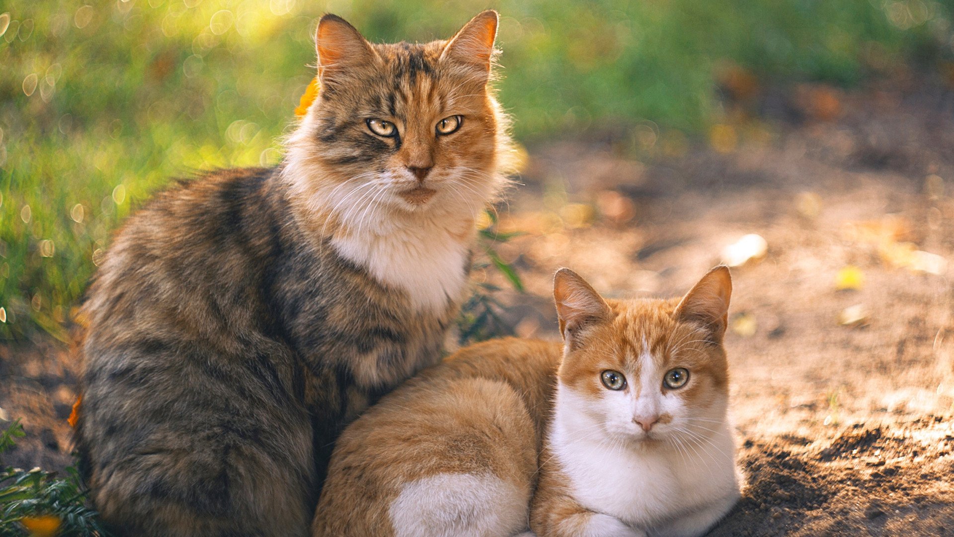 北欧火焰VS罗马蓝鹰，亚洲铁闸金玟哉的颠覆性复刻
