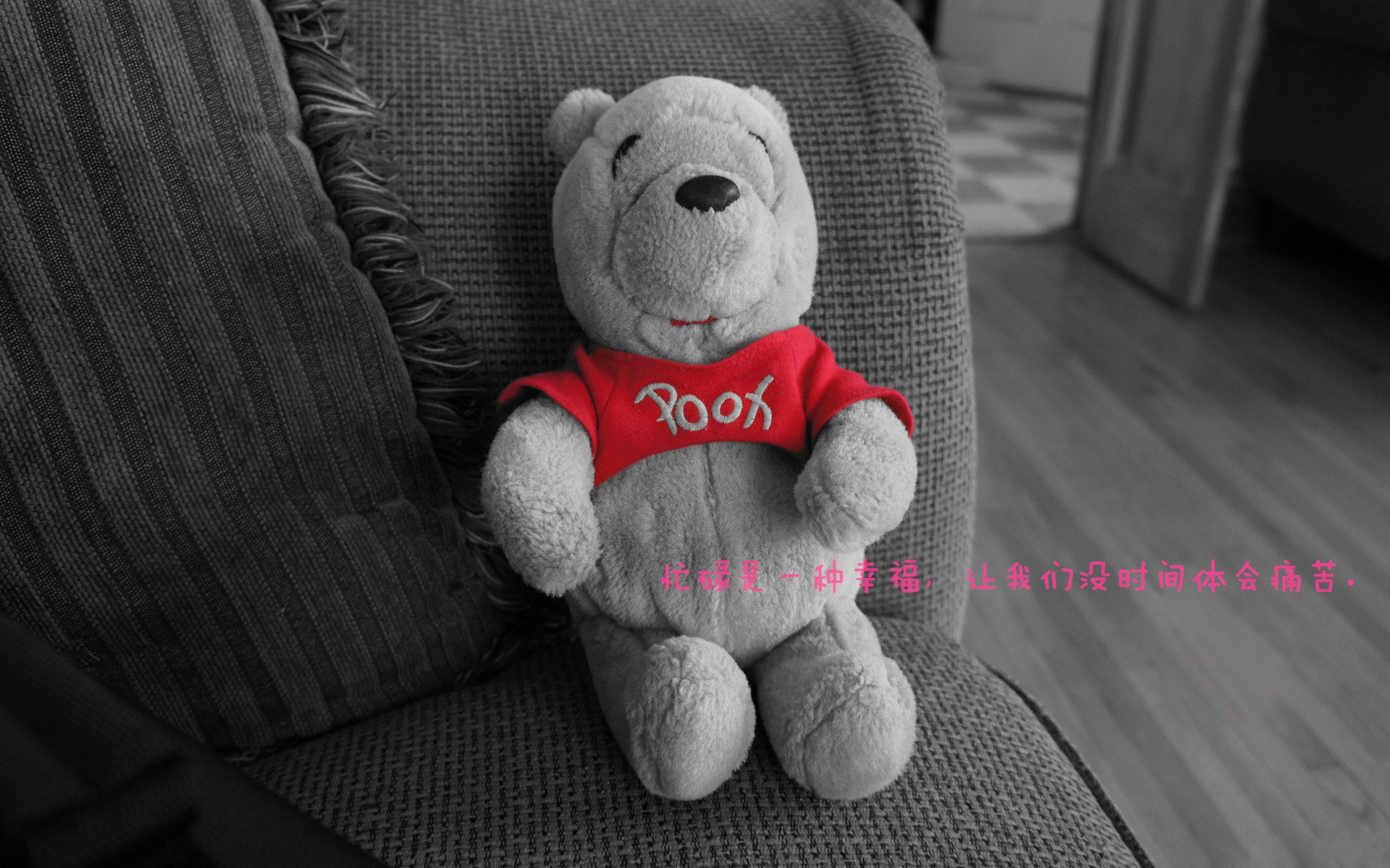 绿茵场与篮球馆,当意甲逆转奇遇上奇才翻盘夜