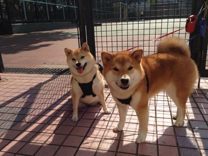 开云体育在线-双杀之夜，阿拉巴撕碎玻璃防线，巴萨末节风暴席卷马竞