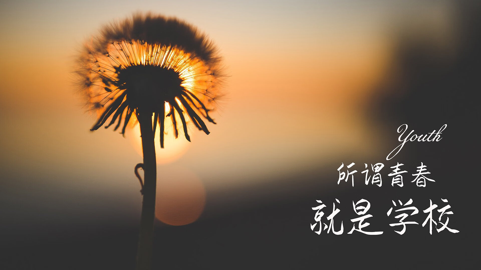 （三个备选）