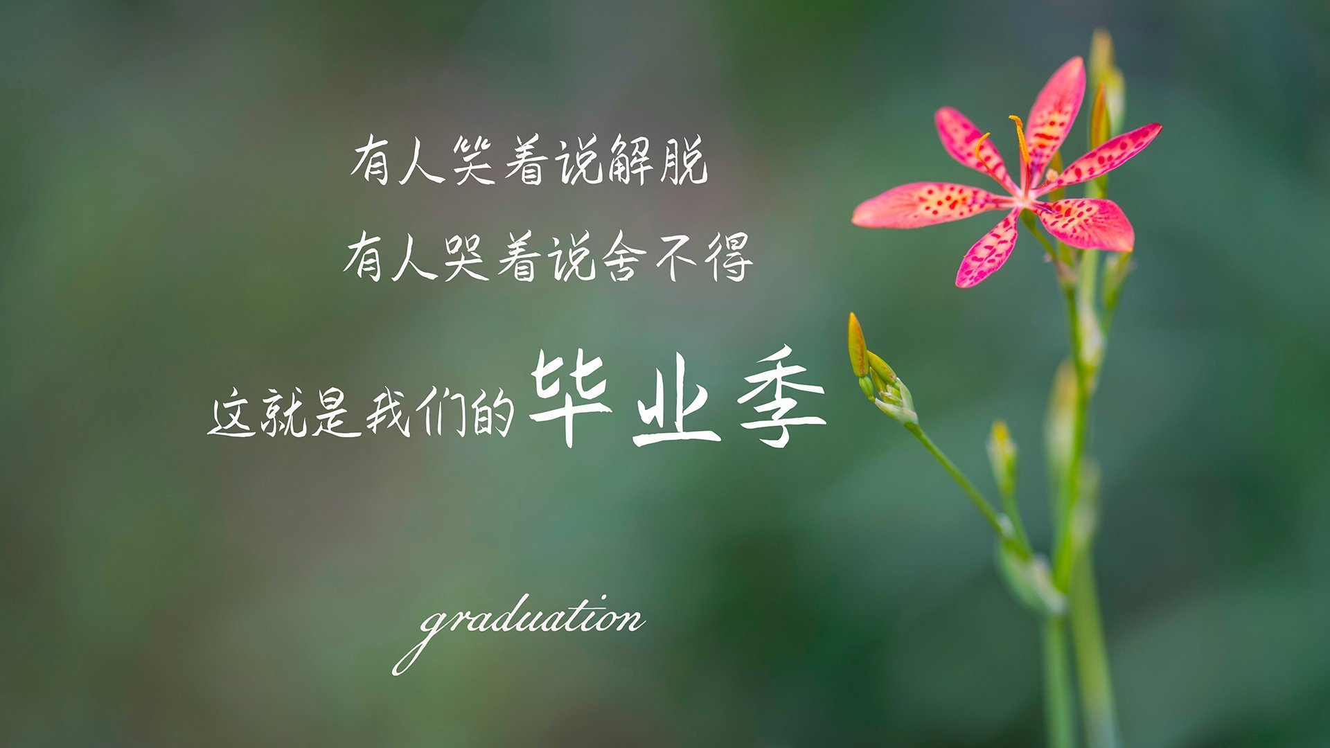开云体育登录-奇点之战，当黑星撞上巨象—2026世界杯，加纳vs印度，迪亚斯如何定义不是魔幻而是唯一的全球新秩序