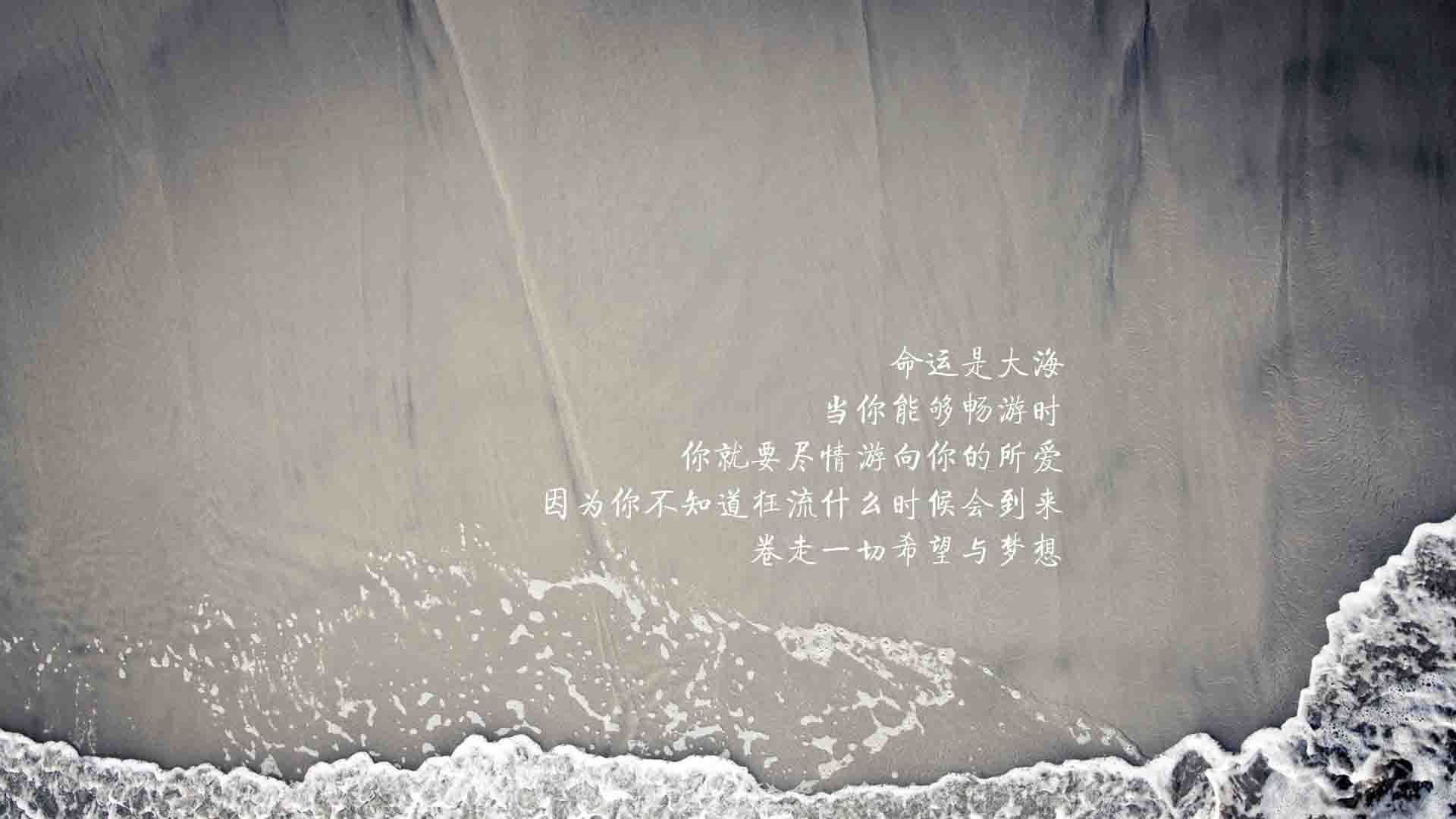 星月之殇与斗牛士的独舞，当2026重逢改写宿命，加维用天才撕裂美利坚的黎明