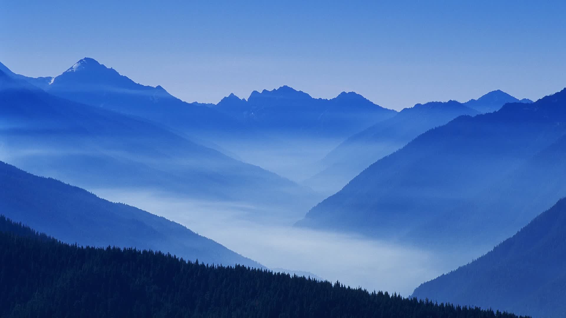 中场为王，边路如刃，葡萄牙在2026世界杯E组以一场非典型大胜定义统治力