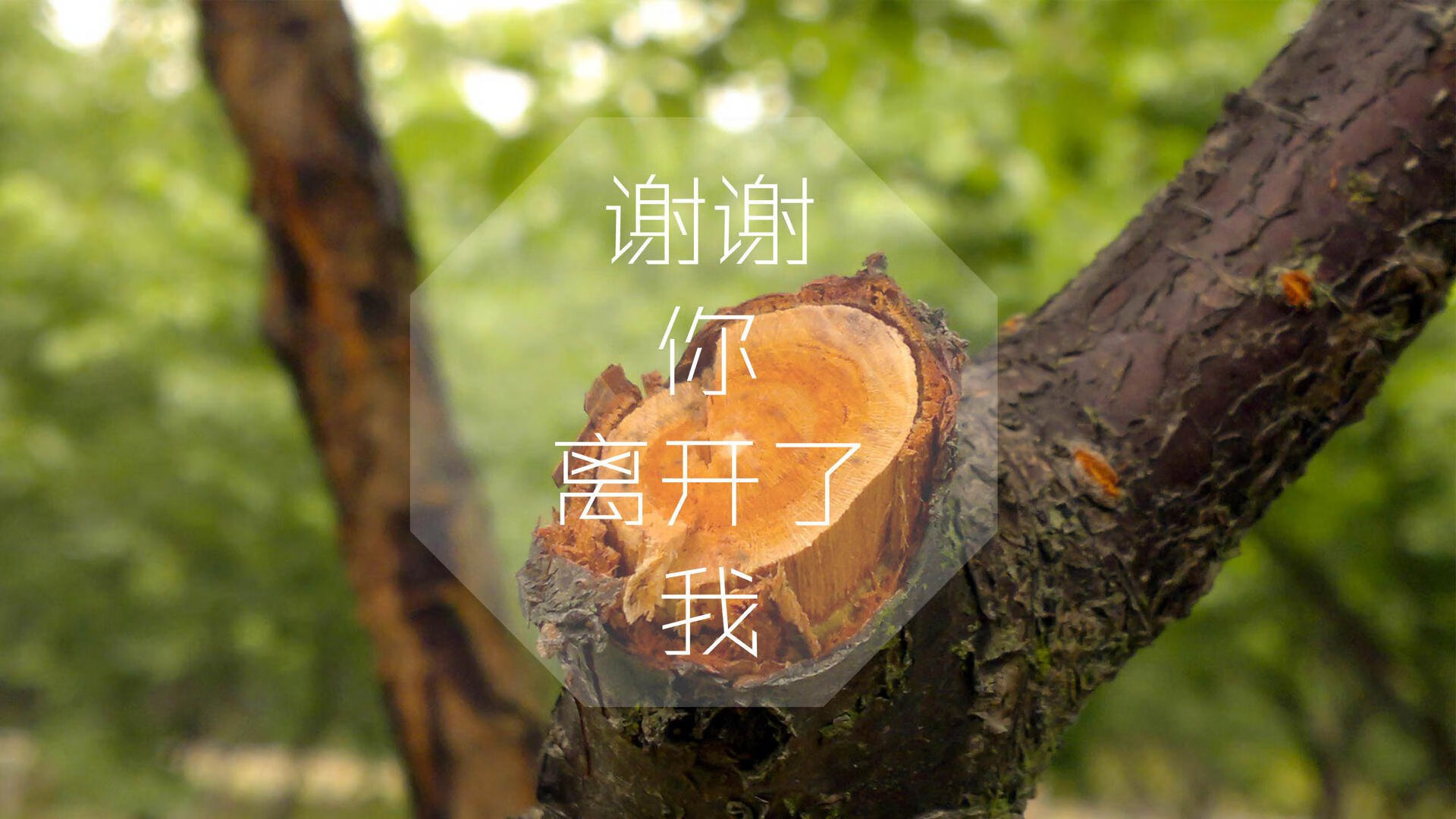 钢铁与极光，当北欧战斧劈开南亚热浪，卢卡库用铁血定义2026唯一性